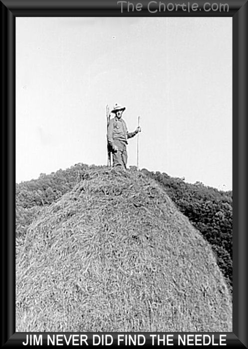 How Alice got rabies