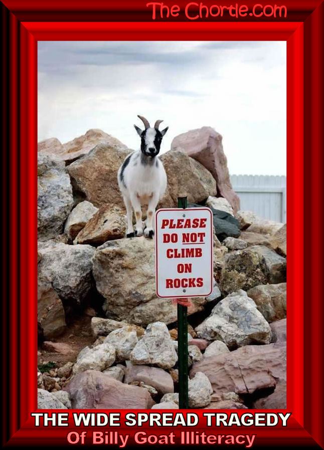 The wide spread tragedy of Billy goat illiteracy
