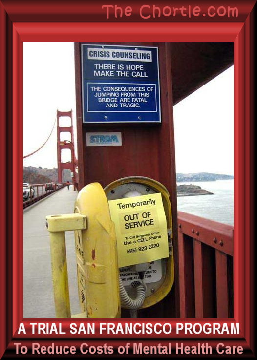 A trial San Francisco program to reduce costs on mental health care.