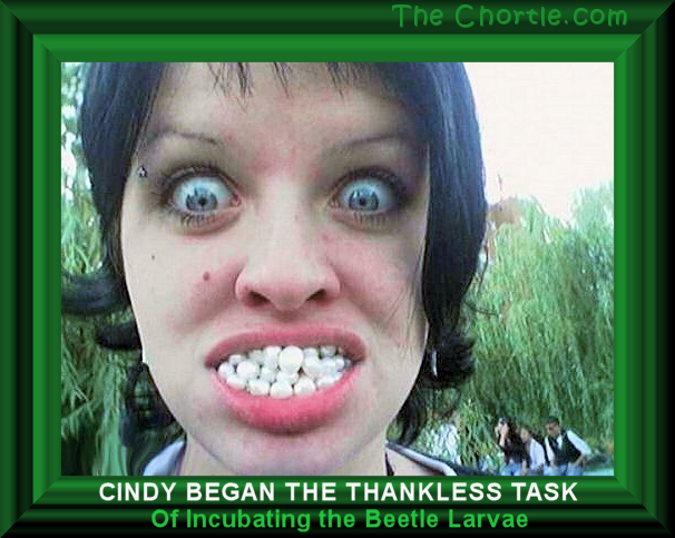 Cindy began the thankless task of incubating the beetle larvae.