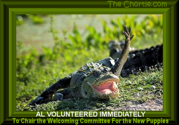 Al volunteered immediately to chair the welcoming committee for the new puppies.