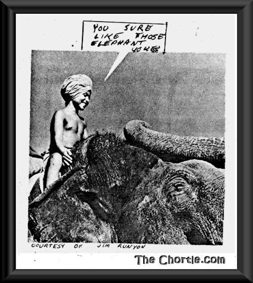 You sure like those elephant jokes (Courtesy of Jim Runyon)