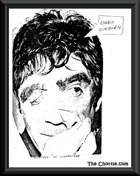 Darn sunburn (Coutesy of Coppertone)