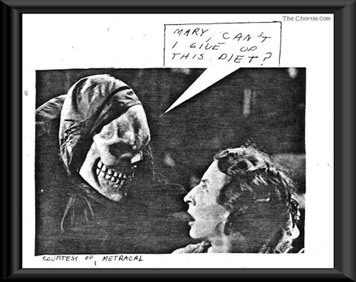 Mary. Can I give up this diet? (Courtesy of Metracal)