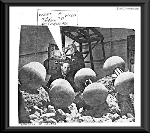 What a wild way to make mushrooms (Courtesy of Heines)