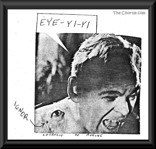 Eye-Yi-Yi! (Courtesy of Murine)