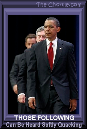 Those following can be heard softly quacking.