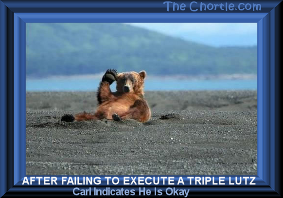 After failing to execute a triple Lutz, Carl indicates he is okay.