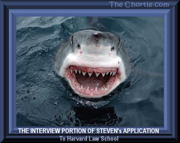 The interview portion of Steven's application to Harvard Law School.
