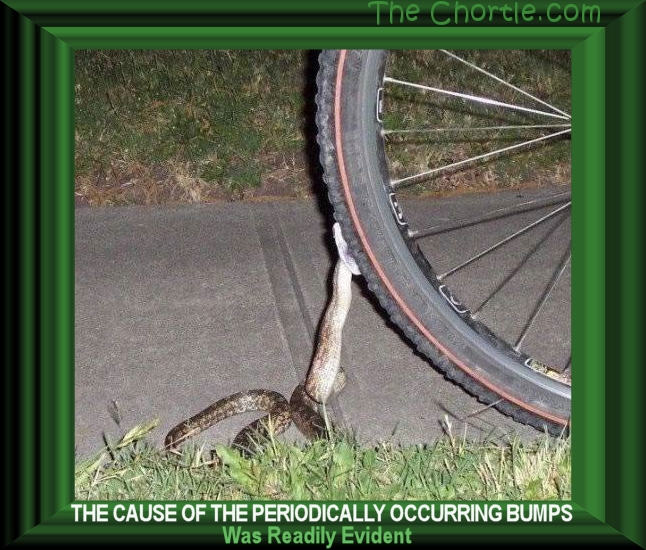 The cause of the periodically occuring bumps was readily evident.