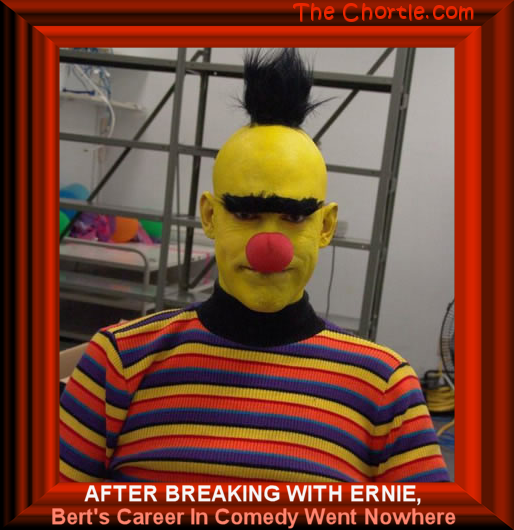After breaking with Ernie, Bert's Career in comedy went nowhere.