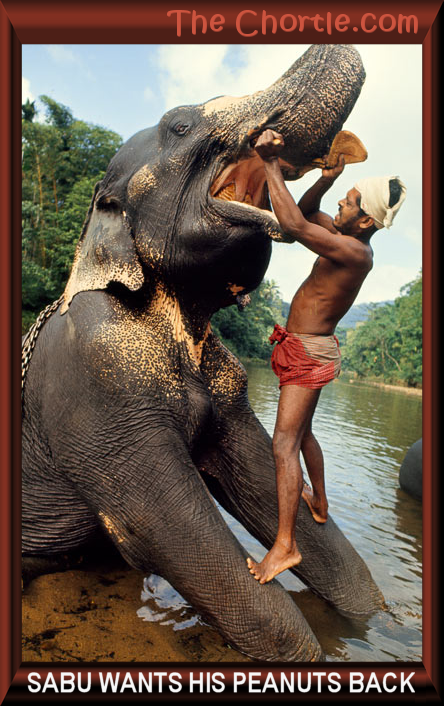 Sabu wants his peanuts back.