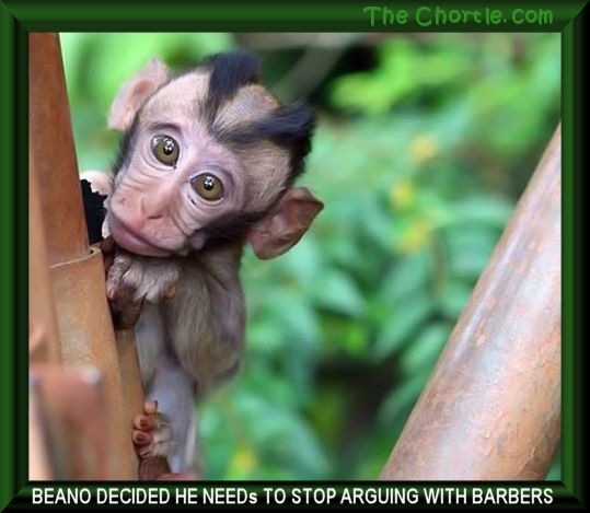 Beano decided he needs to stop arguing with barbers.