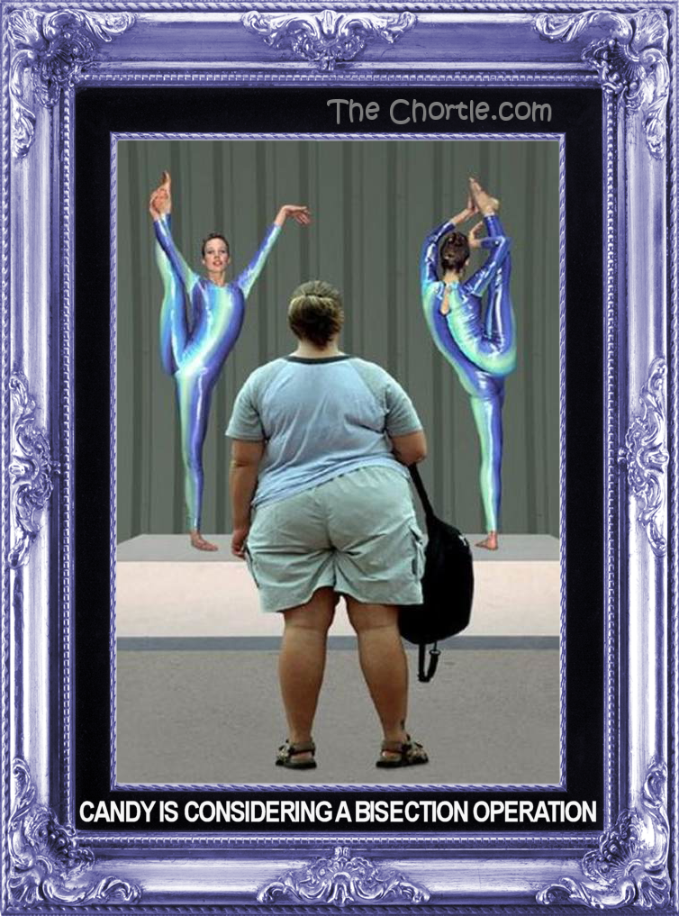 Candy is considering a bisection operation.