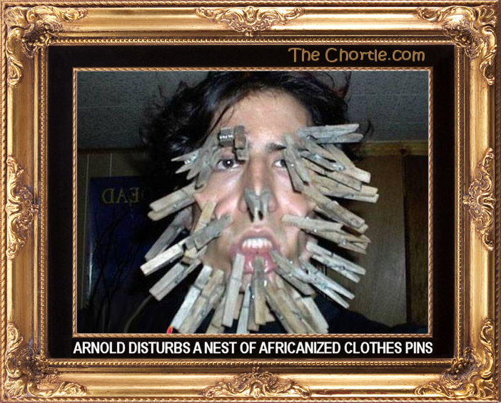 Arnold disturbs a nest of Africanized clothes pins.