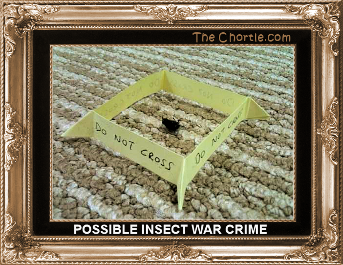 Possible insect war crime.
