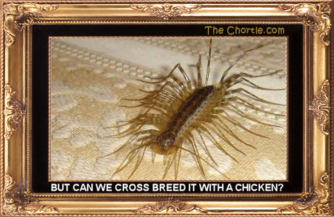 But can we cross breed it with a chicken? 