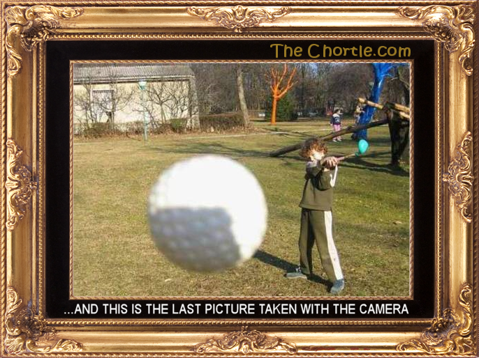 ... and this is the last picture taken with the camera.