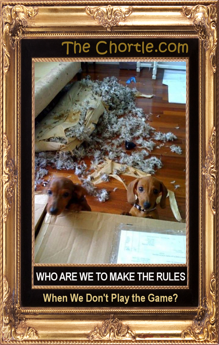 Who are we to make the rules when we don't play the game?