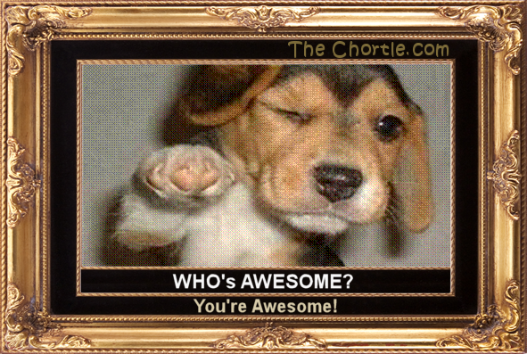Who's awesome?  You're awesome!