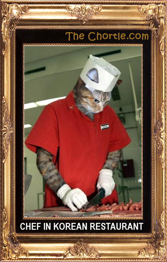 Chef in Korean restaurant.