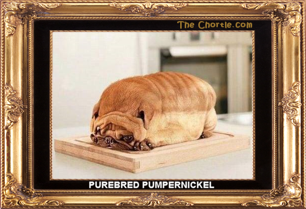 Purebread pumpernickel.