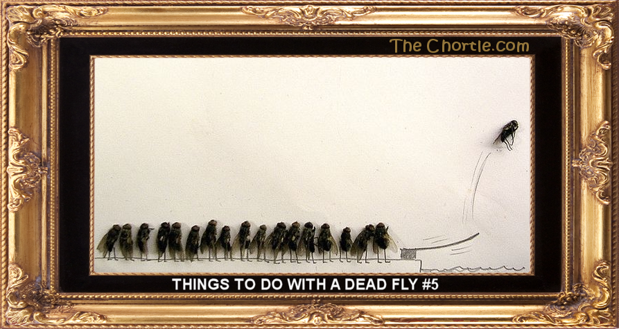 Things to do with a dead fly #5