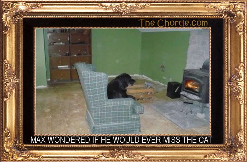 Max wondered if he would ever miss the cat.