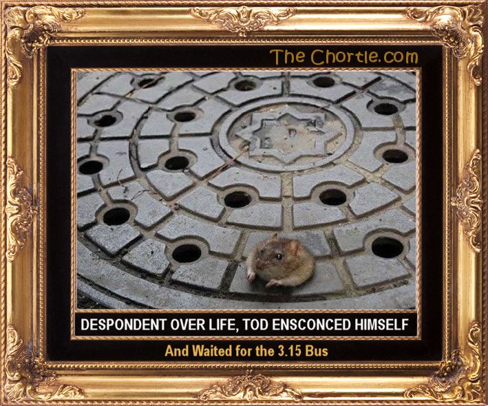 Despondent over life, Tod ensconced himself and waited for the 3.15 bus.