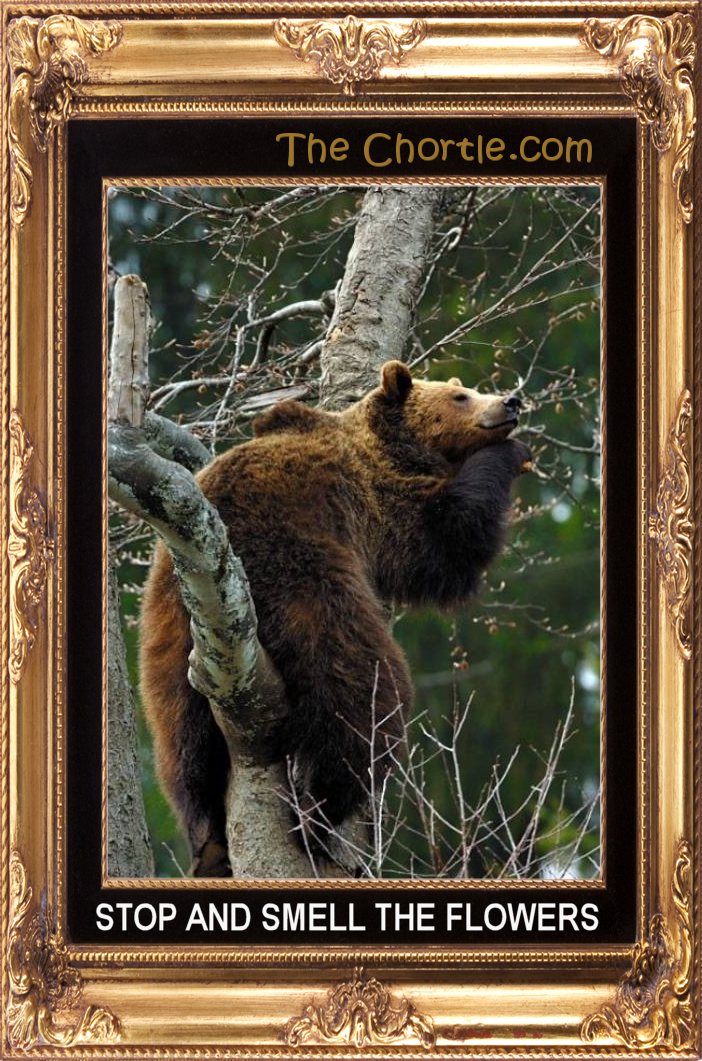 Stop and smell the flowers.