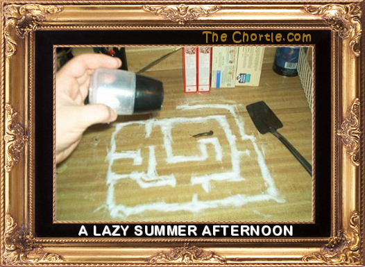 A lazy summer afternoon.