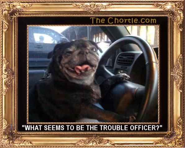"What seems to be the trouble officer?"