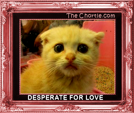 Desperate for love.