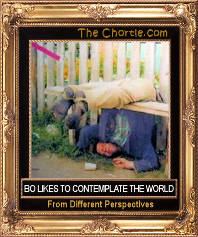 Bo likes to contemplate the world from different perspectives.