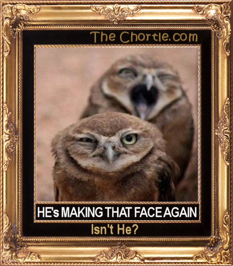 He's making that face again, isn't he?