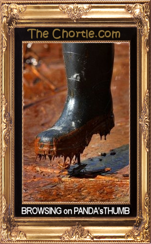 Browsing on Panda's Thumb