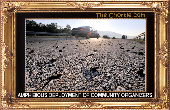 Amphibious deployment of community organizers.