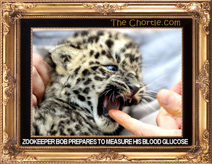 Zookeeper Bob prepares to measure his blood glucose