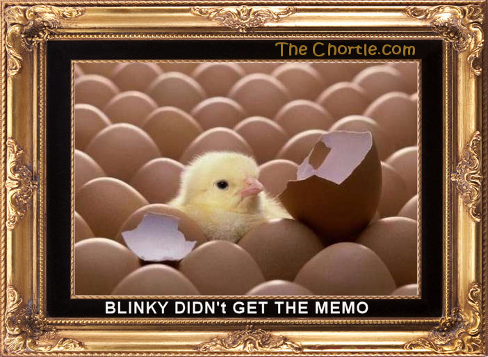 Blinky didn't get the memo.