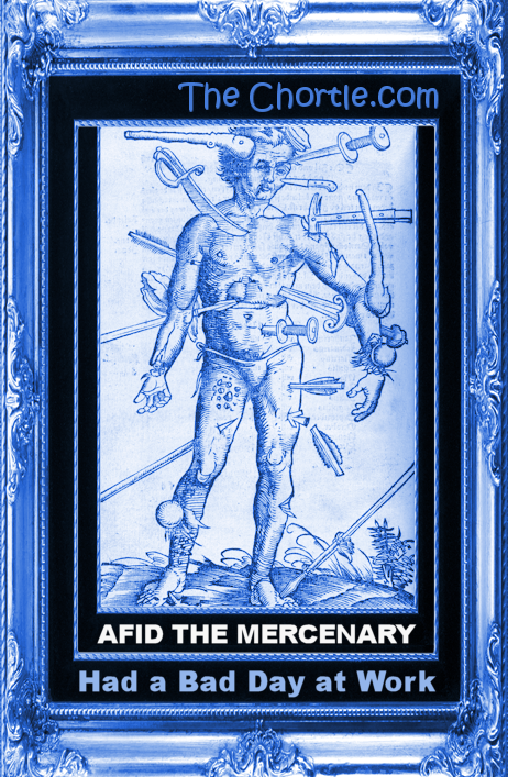 Afid the mercenary had a bad day at work.