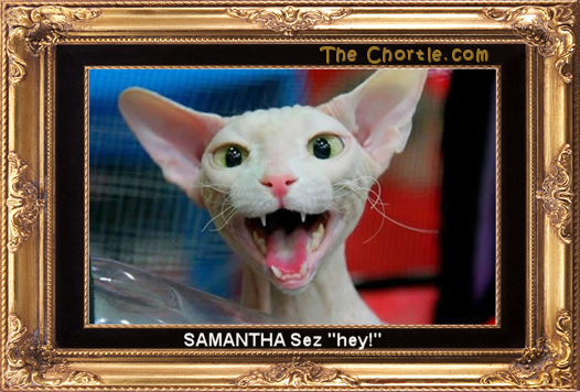 Samantha sez "hey!"