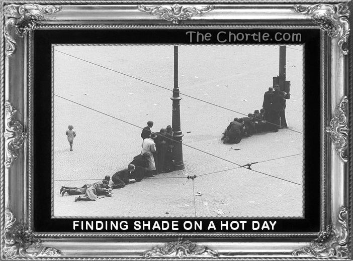 Finding shade on a hot day.