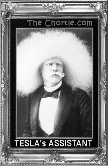 Tesla's assistant.
