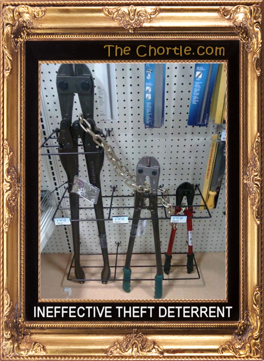 Ineffective theft deterrent