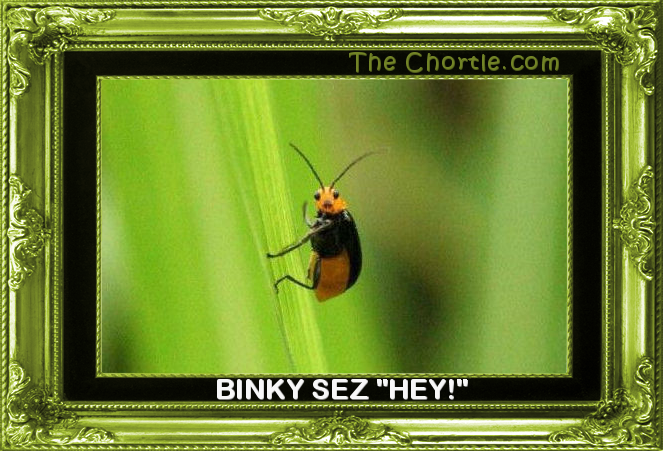Binky sez "hey!"