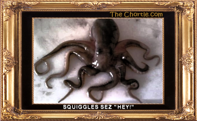 Squiggles sez "hey!"