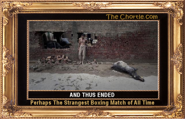 And thus ended perhaps the strangest boxing match of all time