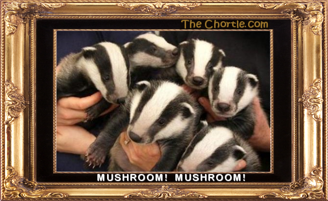Mushroom!  Mushroom!
