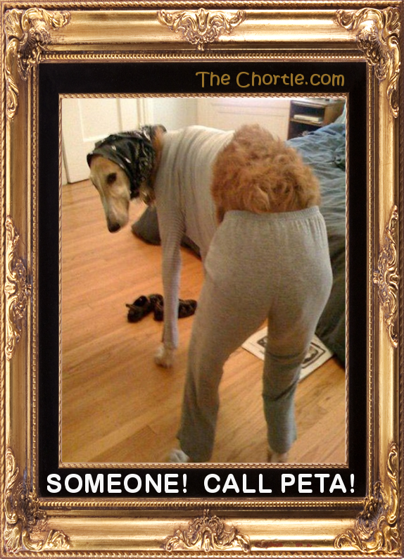 Someone!  Call PETA!