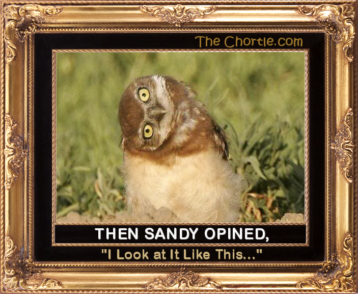 Then Sandy opined, "I look at it like this."